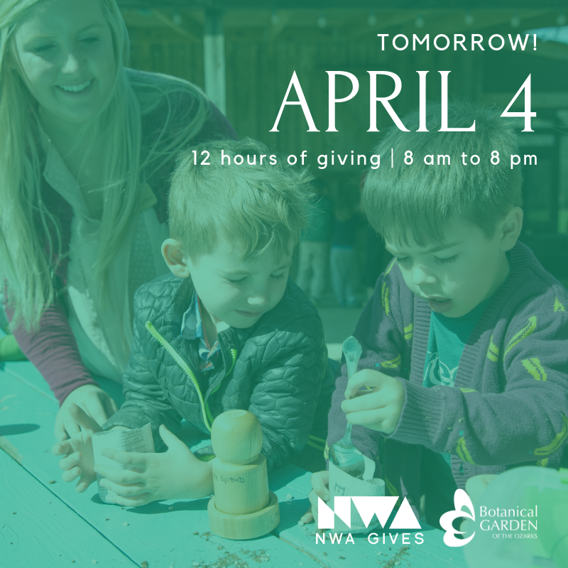 BGOzarks's tweet photo. TOMORROW: We are joining in on the generosity during @nwagives - a giving day for local nonprofits this Thurs. from 8am-8pm. We have a small but important goal of raising $2,500 for improvements to our Children's Garden. Please plan to give at https://t.co/xY1ZcrjA2J
#NWArk https://t.co/Y4NtlmzgqI