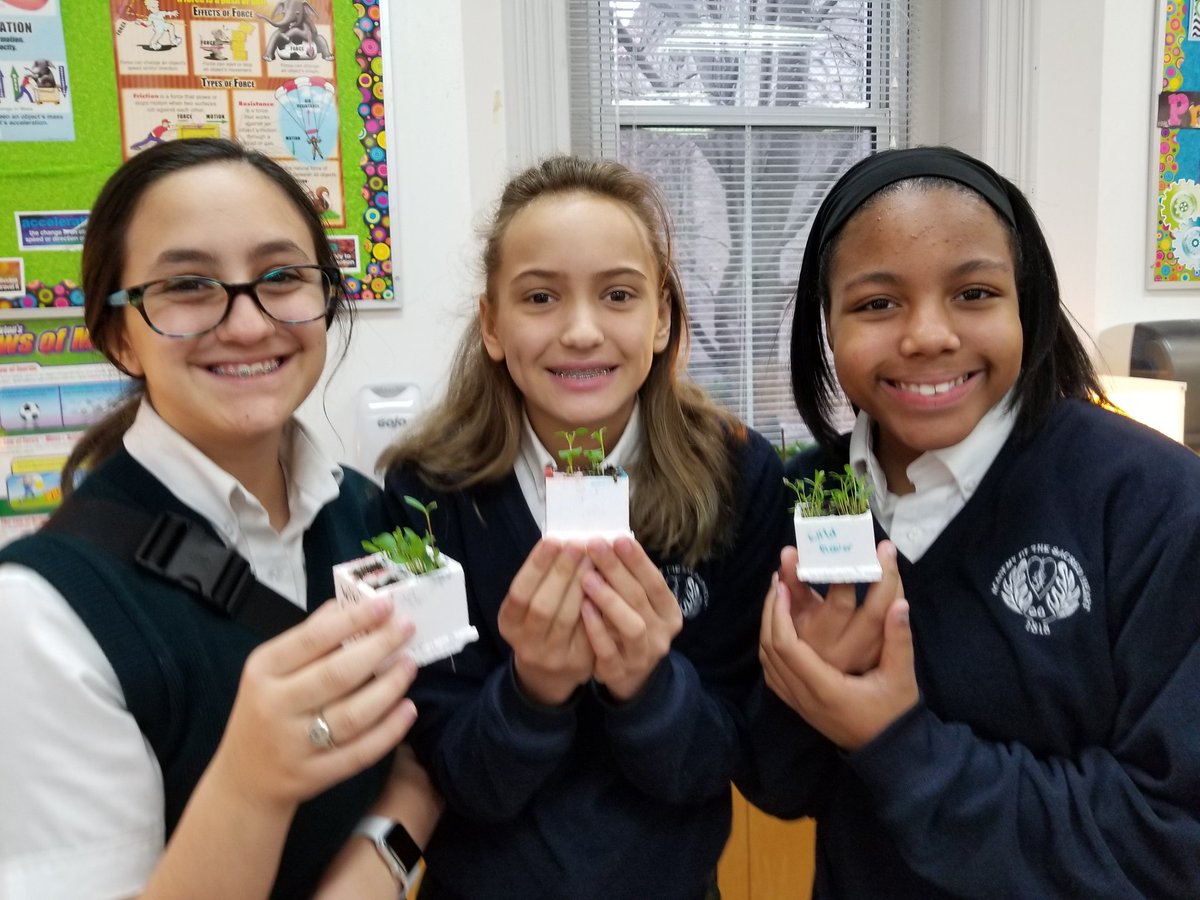 AcademySCI's tweet photo. The Sixth class are exploring plants and the life  giving chemical reaction of  photosynthesis.   Today's lab was to find how  the distance from a light source affects the rate of photosynthesis. @ash1818 https://t.co/yebAPyEyQh