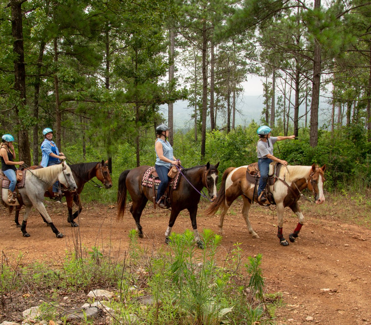 PursellFarms's tweet photo. Got a day off? Make it a #SpringBreak day! #mountaintopUTV #horsebackriding #biking #hiking #resortfun https://t.co/0GWnKZk3SC