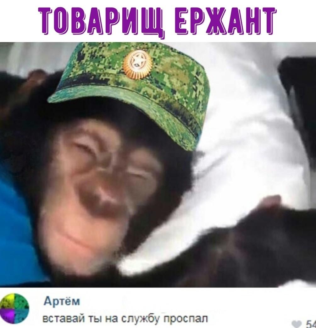 D3PRM0XWAAIne6i?format=jpg&name=medium