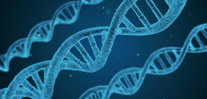 BioanalysisZone's tweet photo. Check out our latest podcast interview with Hugh Davis - discover how @FrontageLabs consults with companies to help get efficient answers to challenges in gene therapy research #BZcellgenetherapy https://t.co/9FBKviDE3Q https://t.co/WScEwbe820