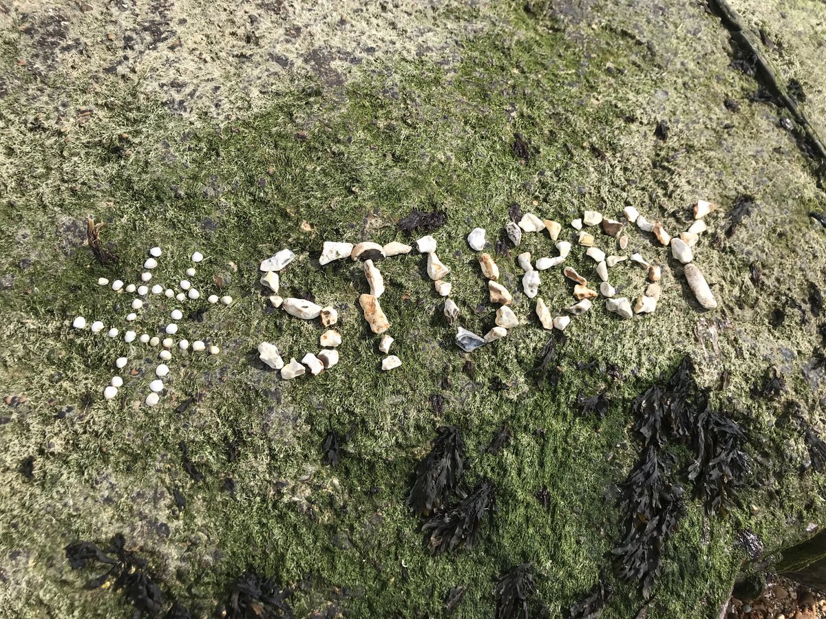 Year 4 Stubbington Trip tweet media