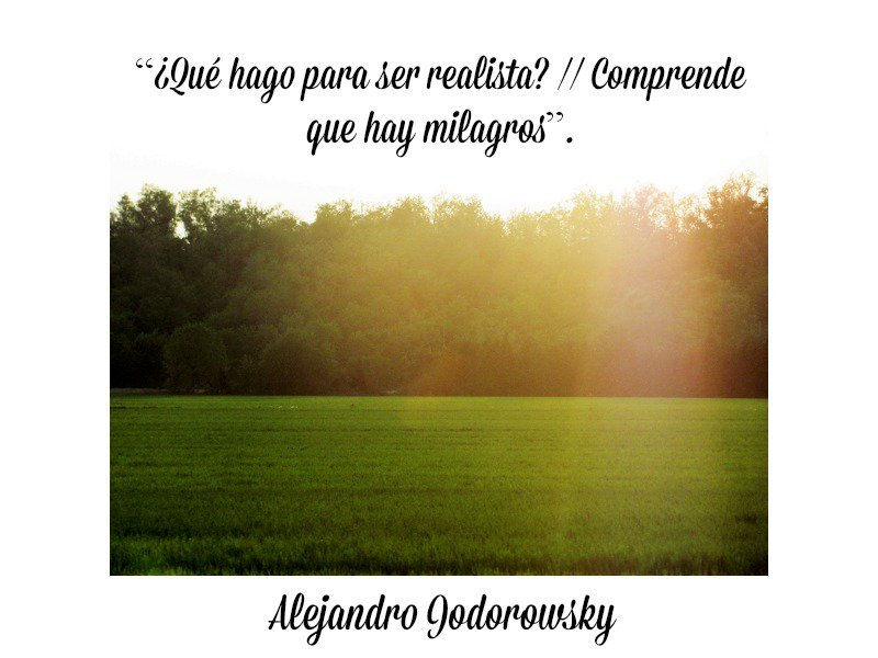 alejodorowsky's tweet photo. ¿Qué hago para ser realista? https://t.co/YqubQWQuxB