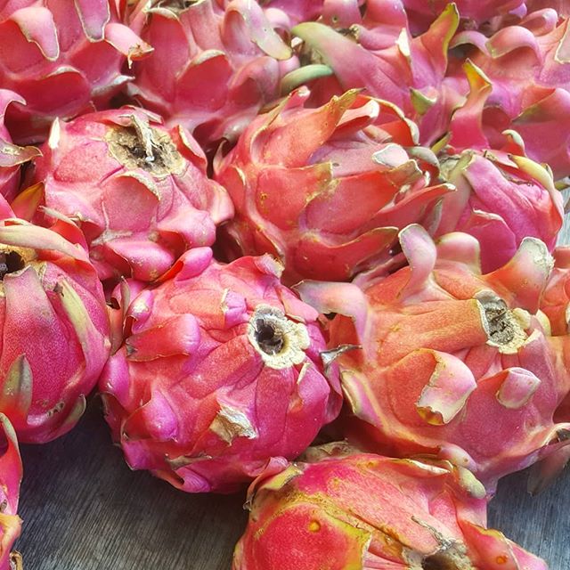 theKitchenLab_'s tweet photo. Growing on the tips of some cactus arms are these pretty pink wonders. Dragonfruit, or the pitaya, tastes of freshness. My personal experiences with them are hit and miss. Sometimes they were super sweet, but other times…

📸 https://t.co/39QOt7Kcfp via https://t.co/BtlgR7v4EV https://t.co/mAMriF2SRq