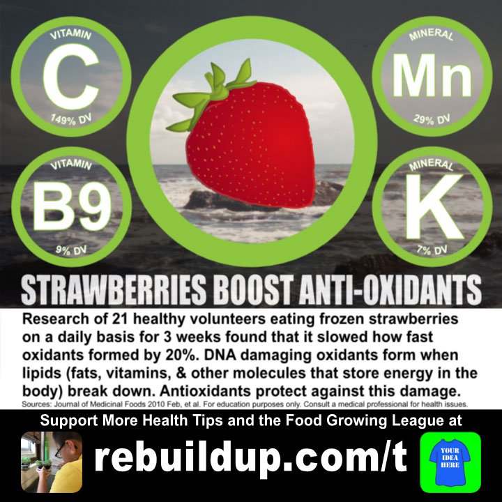 ReBuildUp's tweet photo. Strawberries Boost Anti-Oxidants

More Health Tips: https://t.co/NwoOIhzU5c

Support with a Custom T: https://t.co/GB2vLP7rD1

#strawberry #antioxidant #dna #vitamin #fat #body
#health #healthtip #gso #charlotte #ayden #hendersonville #sogso #pleasantgarden #stokesdale #raleigh https://t.co/C6kclq4mHb