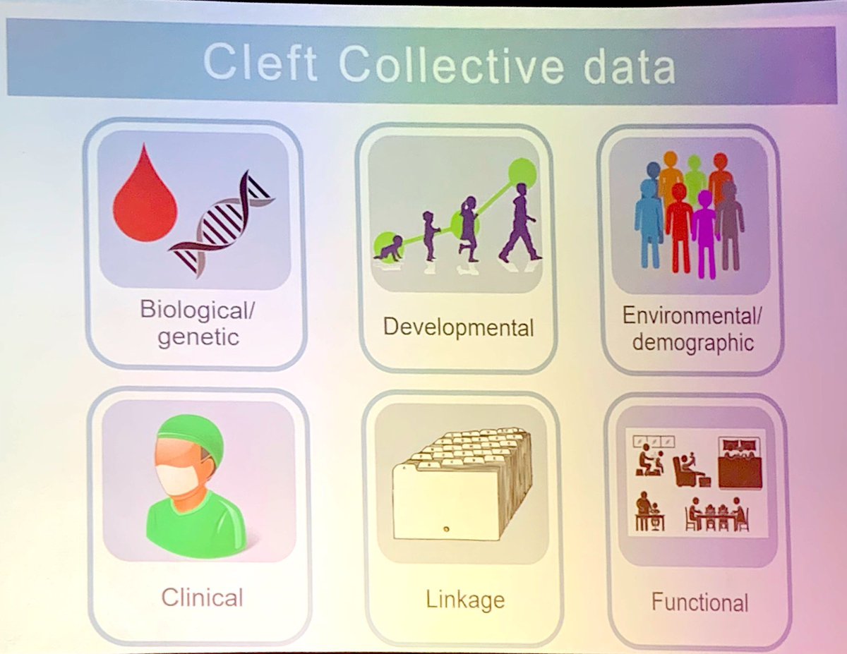 Jason Neil-Dwyer (@jneildwy) on Twitter photo Got a research question that could utilise the Cleft Collective Cohort Data - see more about accessing data bristol.ac.uk/dental/cleft-c… #cfsgbi2019 <a href="/CleftCollective/">The Cleft Collective</a> Got a research question that could utilise the Cleft Collective Cohort Data - see more about accessing data bristol.ac.uk/dental/cleft-c… #cfsgbi2019 <a href="/CleftCollective/">The Cleft Collective</a>