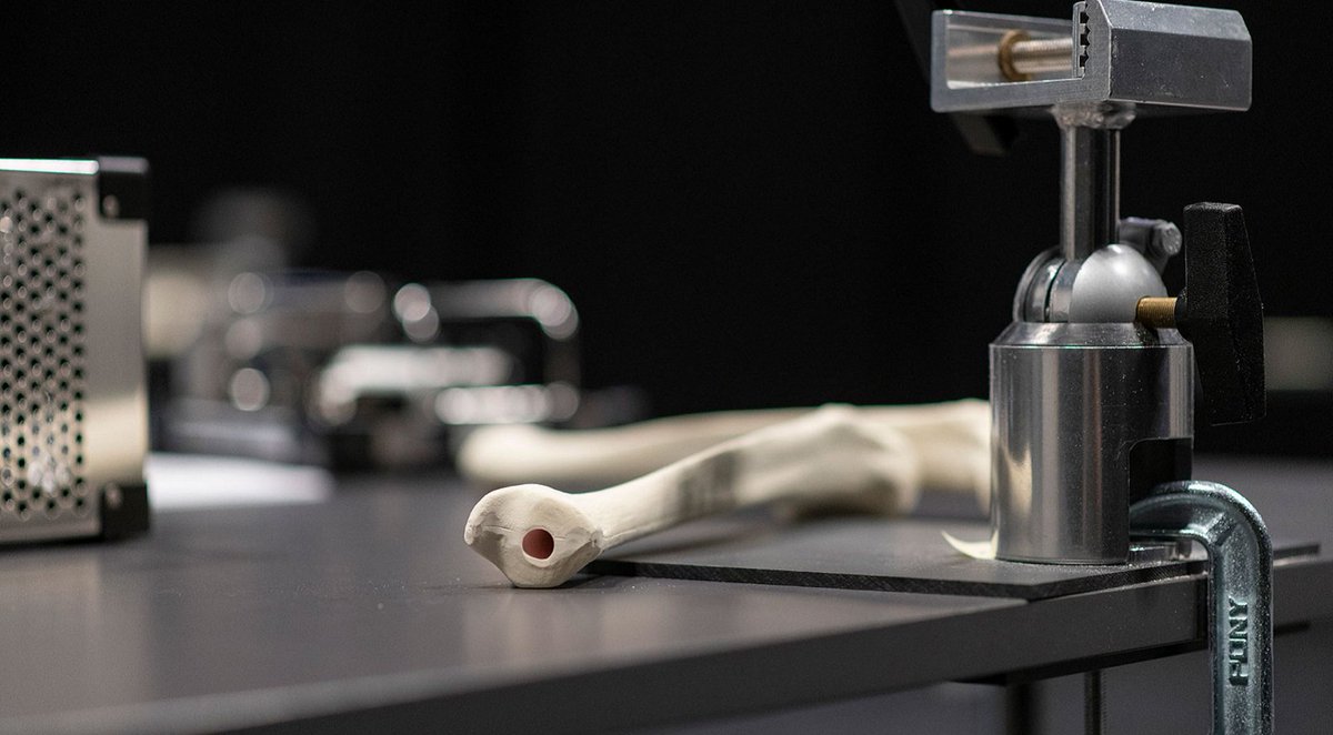 Thanks to the #collaboration of <a href="/otc_spain/">OTC Spain</a> with the <a href="/secotsecot/">@secotsecot</a> Foundation, the joint course on different osteosynthesis and trauma care topics could be put into place. It starts tomorrow in Madrid.😀
#otcfoundation #secotfoundation #otccourses #medicaleducation