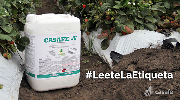 CasafeOk's tweet photo. Todos los agroquímicos deben, por normativa, poseer una etiqueta con información indispensable para su uso. ¡Leela atentamente!
#LeeteLaEtiqueta https://t.co/hI86zvUcFz