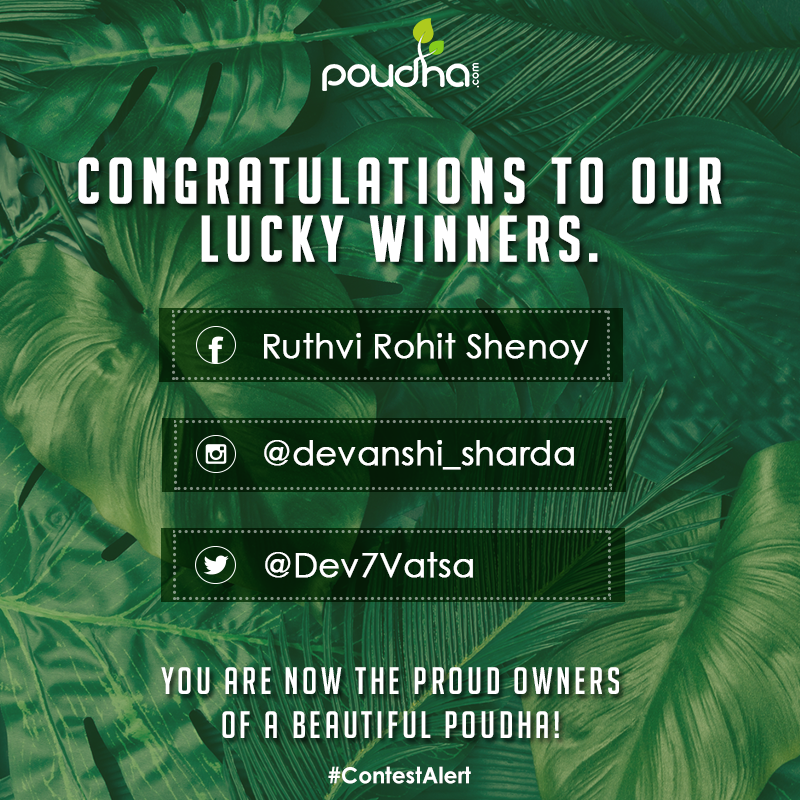 Poudha_in's tweet photo. Thank you one and all for your participation. Here's announcing the lucky winners of our contest. You can now plant give your hot summers a refreshing twist with the cool poudhas that are on their way to reach your homes soon! #Poudha #PoudhaContest #Contest #Winners #Planting https://t.co/ehiu2q2Iv2
