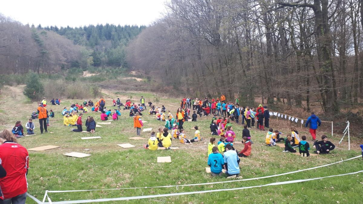 Journée humide en forêt d'Ecouves, au championnat académique de course d'orientation #unss61. Les élèves font travailler leurs méninges pour se répartir les balises. Nous reviendrons plus fort l'année prochaine.