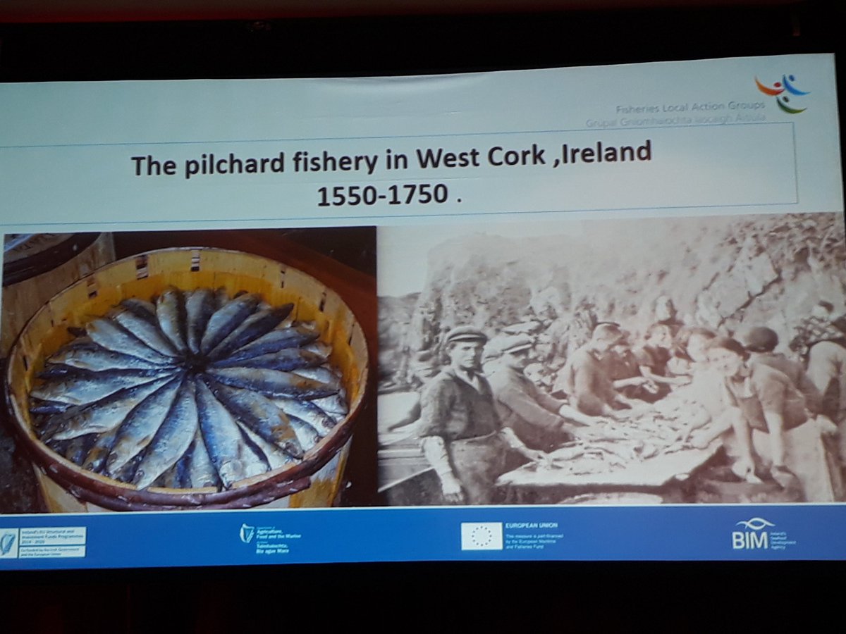 ruth_brennan's tweet photo. Delighted to have opportunity for #CoSustain @belongingtosea to engage w #FarnetSmart @EU_FARNET seminar in Bantry! Lots of great conversations already w people from FLAGs,RIFFs, @BordIascMhara @agriculture_ie. #engagedresearch #islands @islandsmarine @TCEHTCD @mariescurie_ire https://t.co/DdvrTaRtda