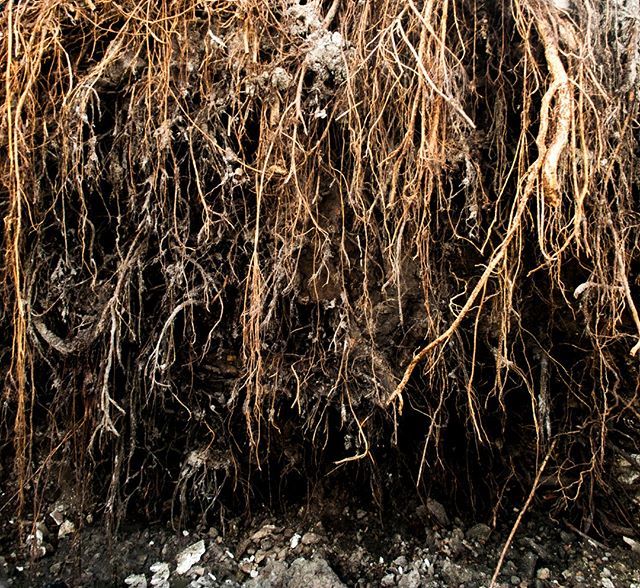 Fotografiadetexturas Hashtag On Twitter