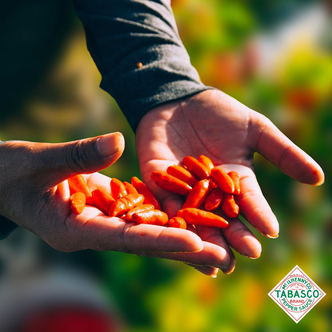 Nas mãos, a felicidade de cultivar um sabor único há mais de 150 anos.