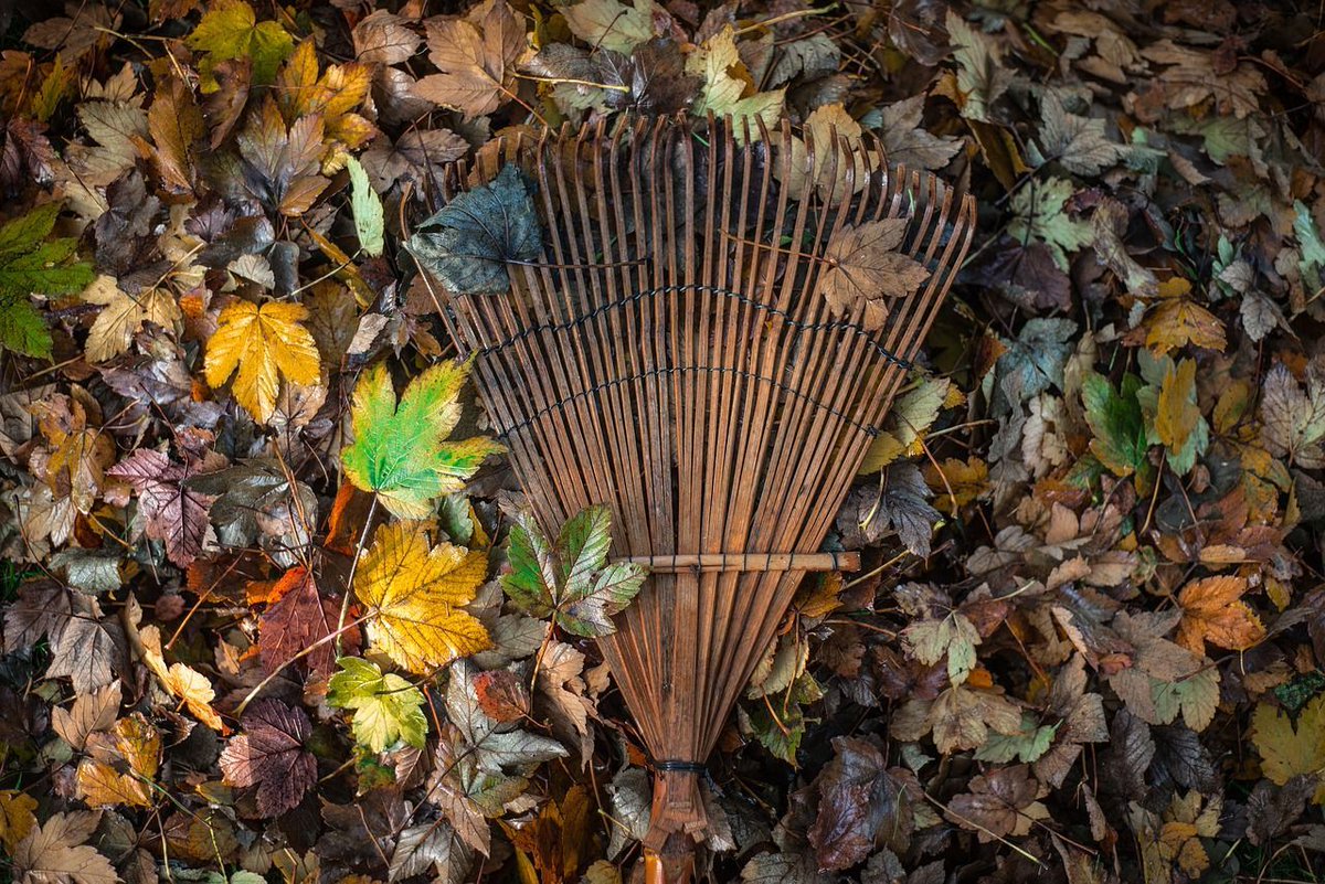 myNexGreen's tweet image. Once the ground has solidified, you can start your #SpringCleaning by raking up any dead leaves or sticks/branches that have made their way onto your lawn.