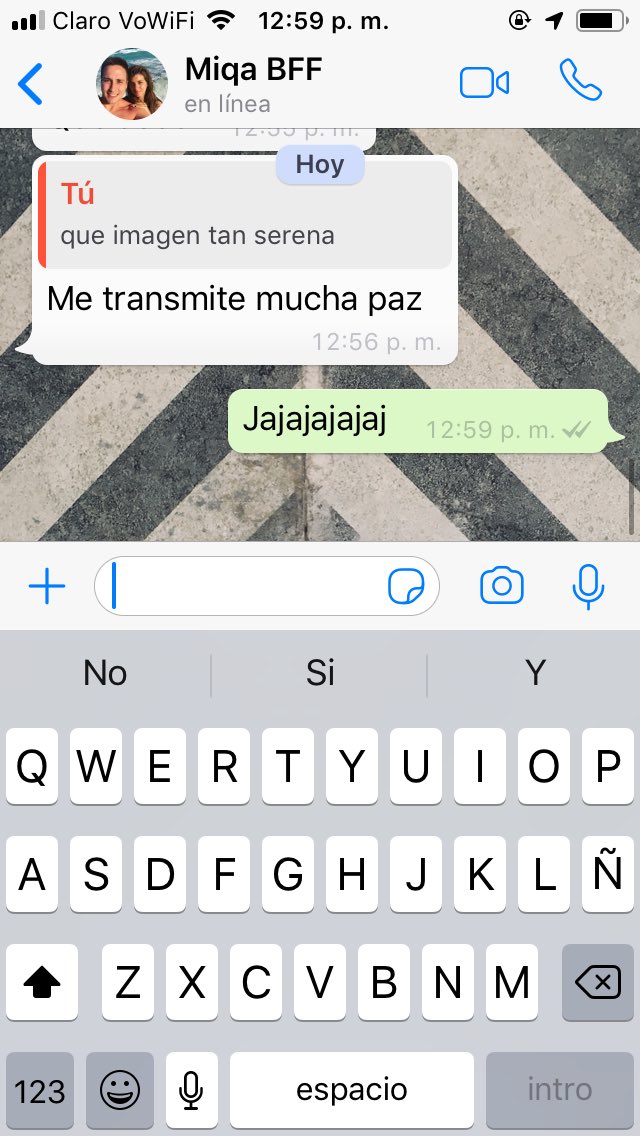 Cami Del Vecchio tweet media