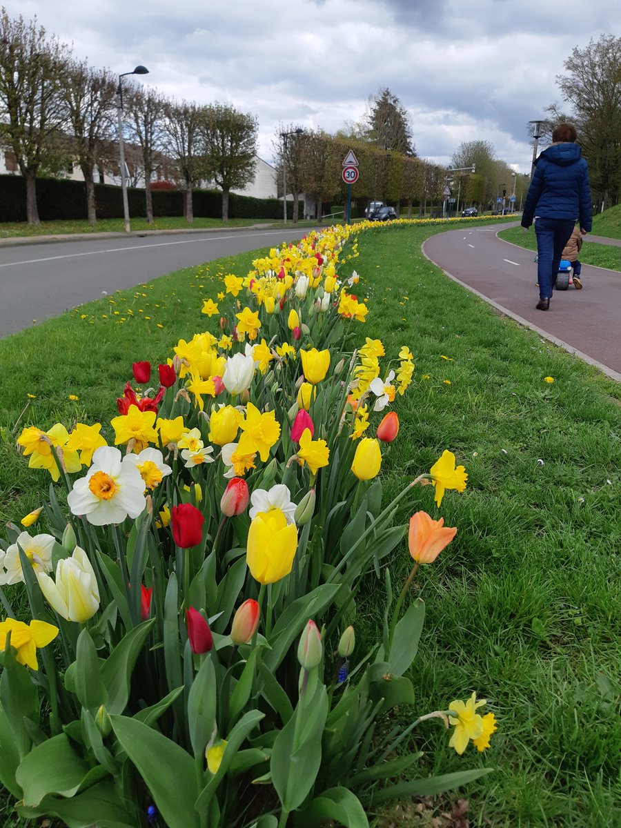 Le printemps à #montignylebretonneux 😍