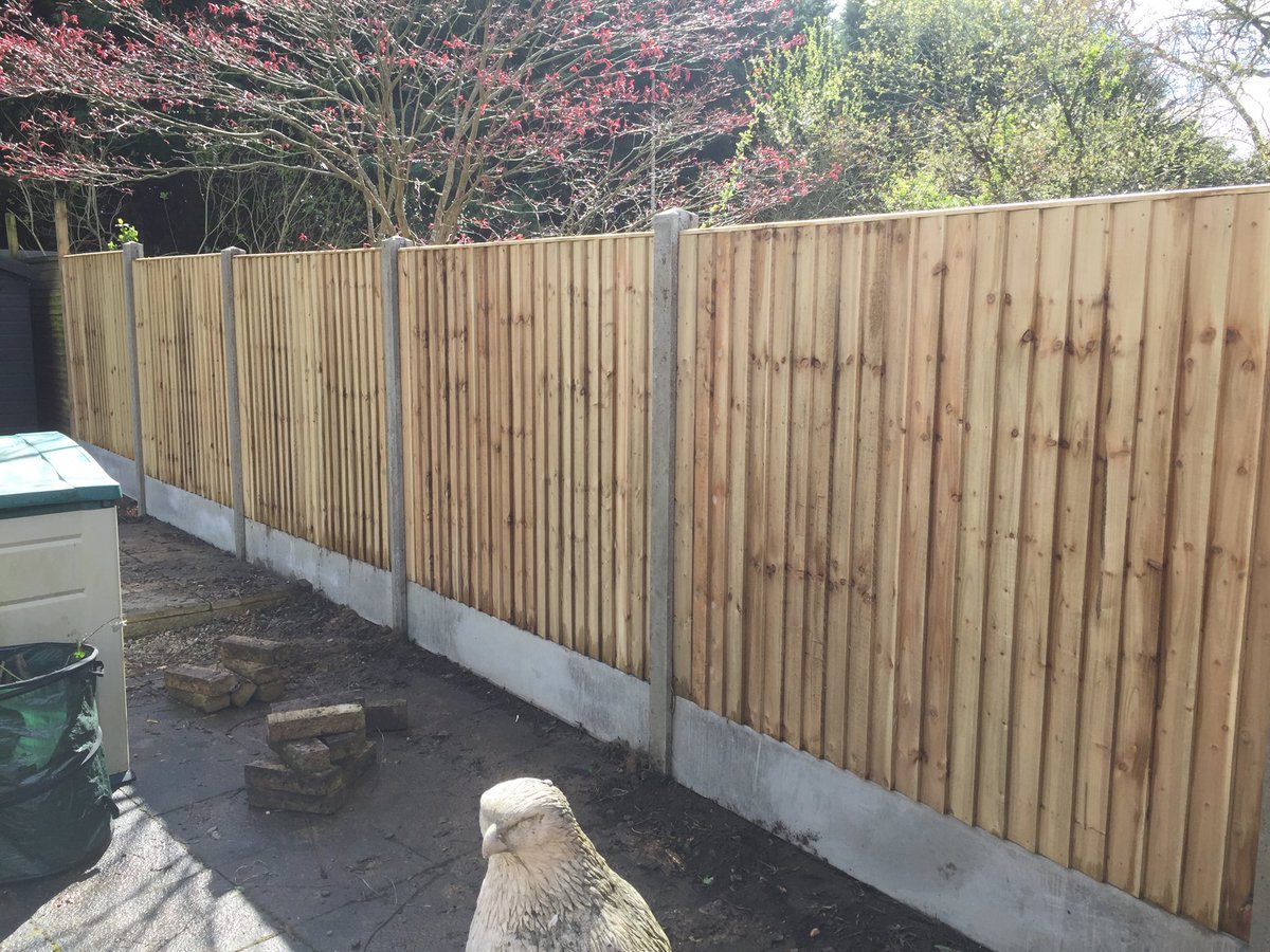 Before and after. Closeboard panels with concrete posts and gravel boards #fencing #woky #landscaping #BerkshireBoundaries