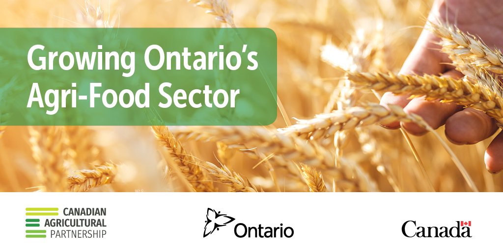 #ICYMI: Cost-share funding for farmers and food &amp; beverage processors is available through #CdnAgPartnership. Check out what types of projects are eligible for support: ontarioprogramguides.net/en/
#OntAg