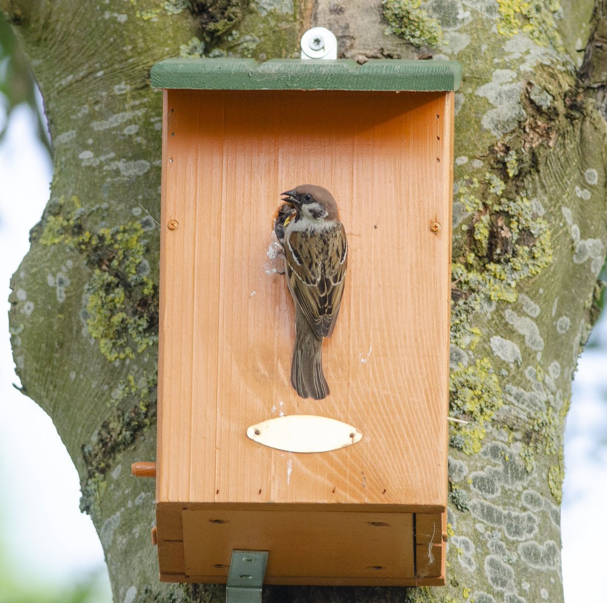 Poldernatuur tweet media