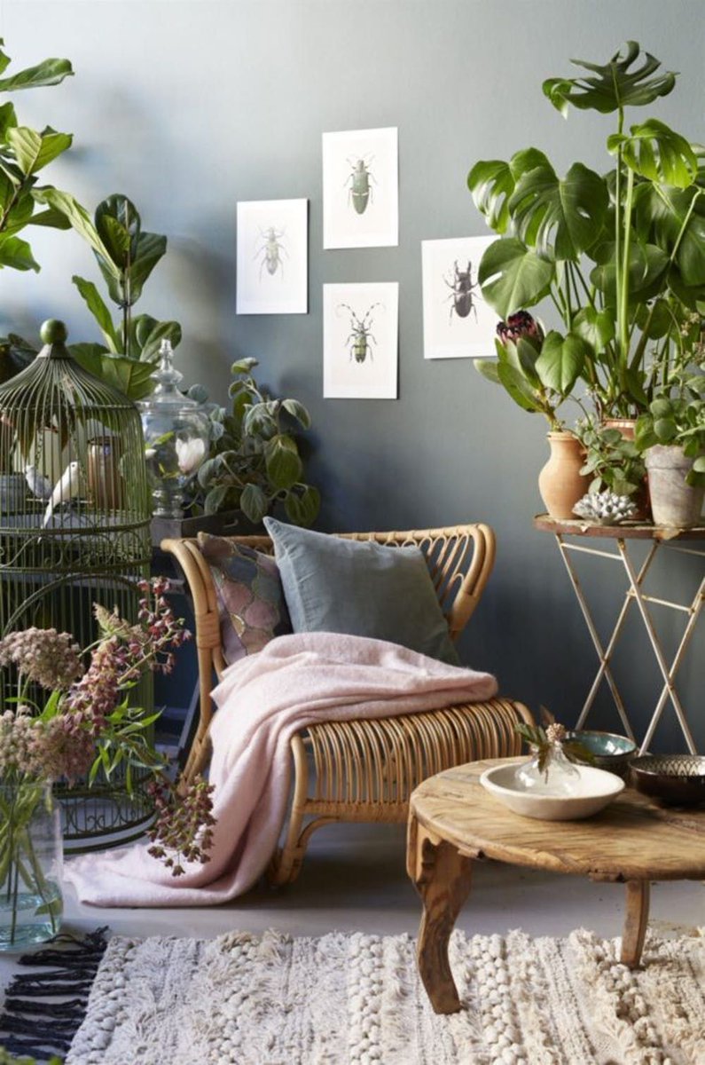 apartminty's tweet photo. Plant-filled apartments to inspire your space: https://t.co/n3qdy1pXxH https://t.co/oPFguwv60l