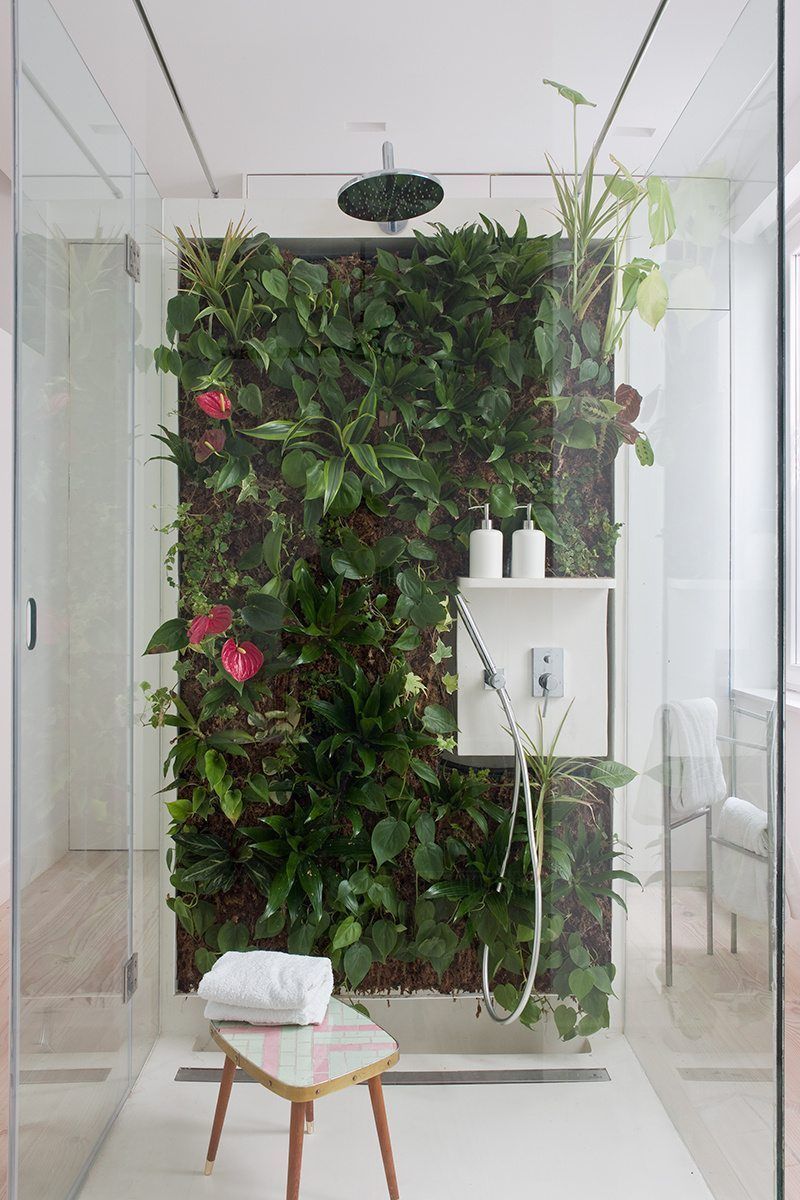 apartminty's tweet photo. Plant-filled apartments to inspire your space: https://t.co/n3qdy1pXxH https://t.co/oPFguwv60l
