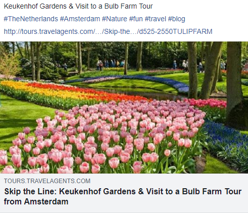 TravelAgentscom's tweet photo. Keukenhof Gardens &amp; Visit to a Bulb Farm Tour

#TheNetherlands #Amsterdam #Nature #fun #travel #blog

https://t.co/jDYK9lDahj https://t.co/gCNytGa89a