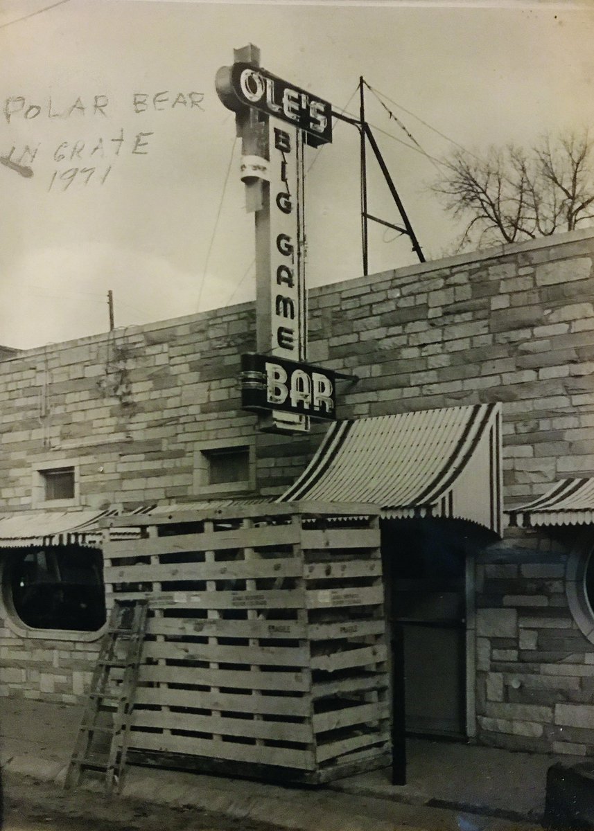 Ole's Polar Bear was bagged March 12, 1969 in the Chukchi Sea.  However, the Polar Bear wasn't delivered to the bar until 1971.  #TBT  #OlesPolarBear