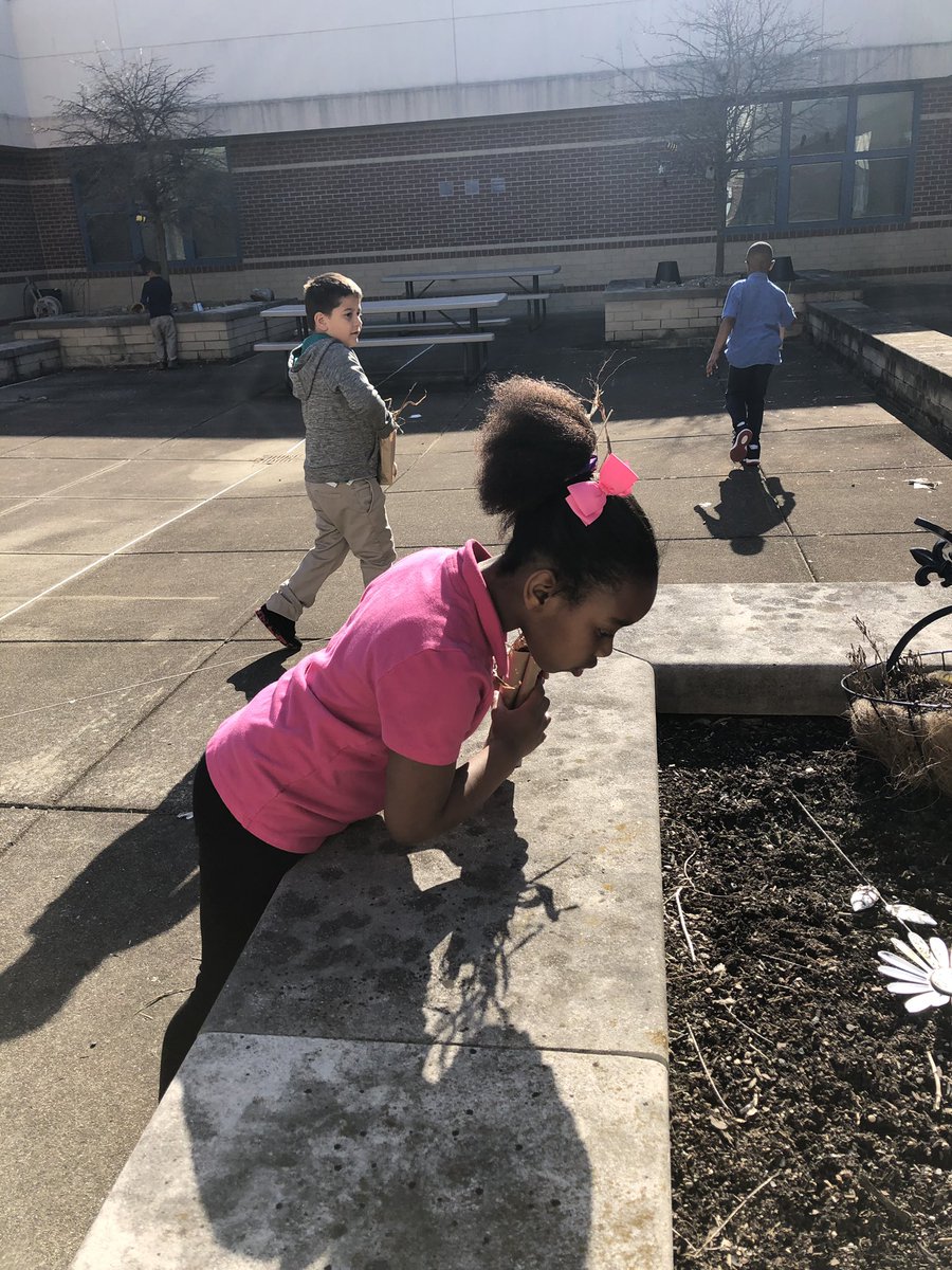 Kindergarten On a nature  walk finding materials to build  a nest . <a href="/LibertyParkElem/">Liberty ParkPatriots</a> #lpsoars #WEarethekey