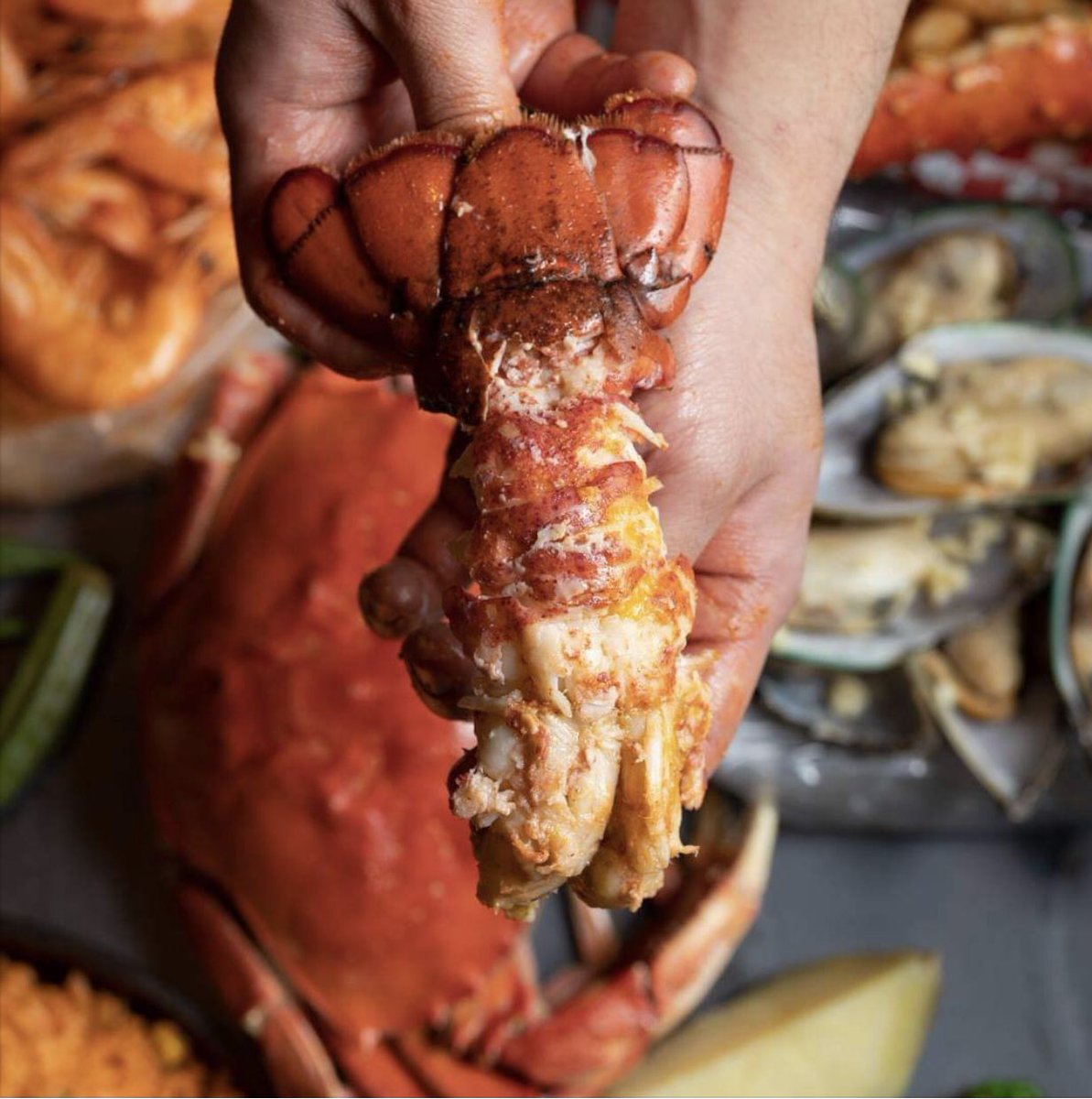 CaptainMas's tweet photo. Have you tried our lobster yet? โ๏ธ #captainmas #captainmascrabhouse #washingtondc #vafoodie https://t.co/QxeqUW9Rap