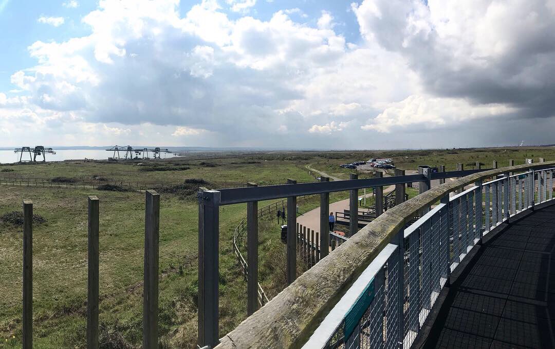 What a panoramic view - once the biggest landfill site in Europe, now a nature haven, the wonderful Thurrock Thameside Nature Park! 50+ sand martins spotted arriving today too 🌿