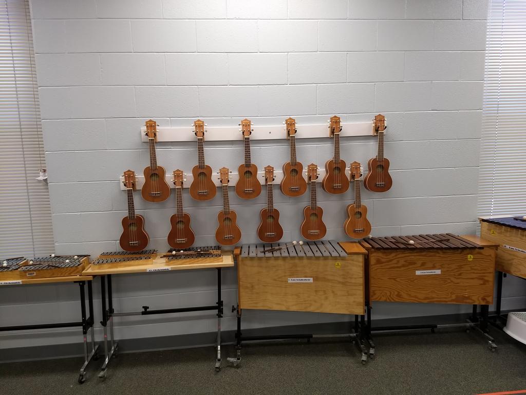 TMESMusic's tweet image. Our new ukes have new hangers and are ready for business! #tmeseagles #ukecandoit