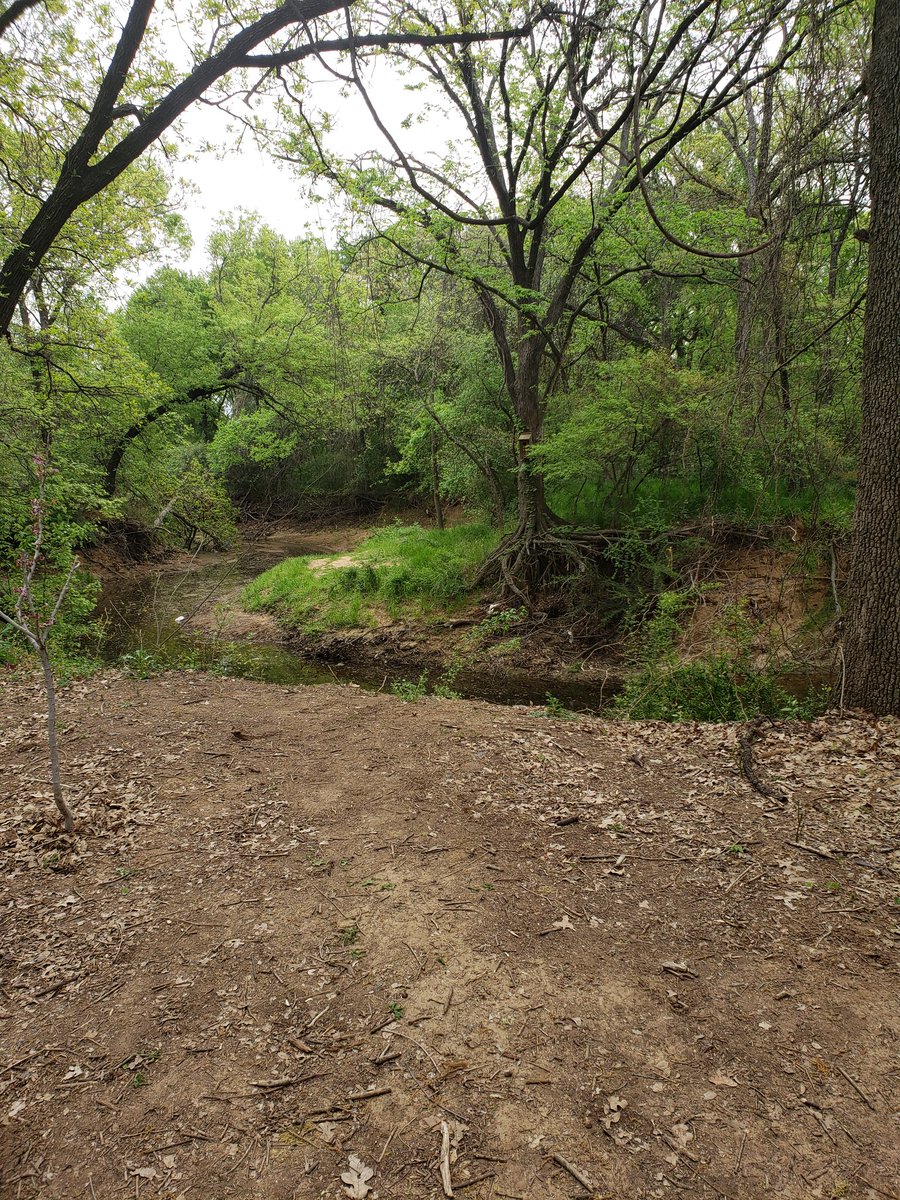 virgie295's tweet photo. 3rd grade field trip to river legacy park, learning  about decomposition and animals living in their habitats. They even touched a snake.  @gonzalezma19 #joyjames https://t.co/qsKpauCGna