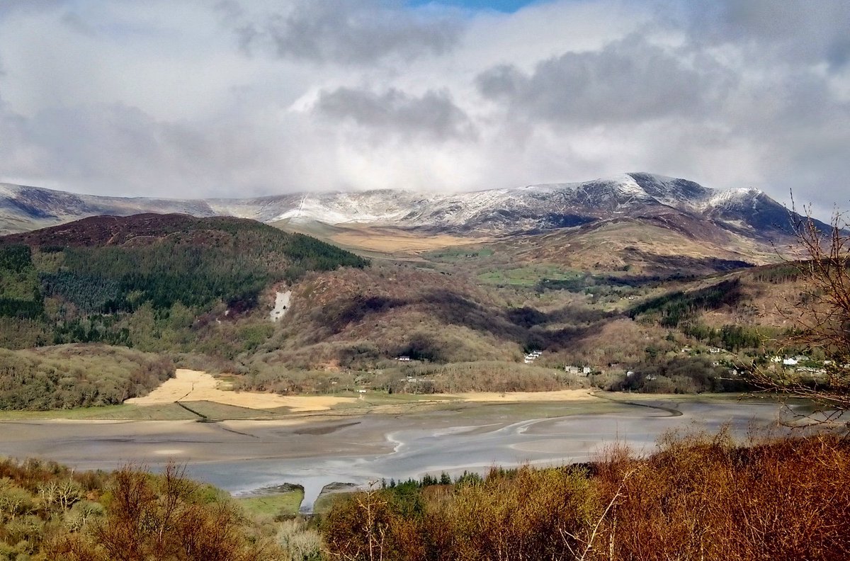 WLloydJones's tweet photo. #diffwys #mawddach #bontddu from Coed Y Gribin today. #barmouth #dolgellau https://t.co/qviE3Wh3LD