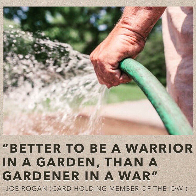 WebDank's tweet image. If you haven’t listened to the Joe Rogan podcast, it’s a must! 

#joeroganexperience