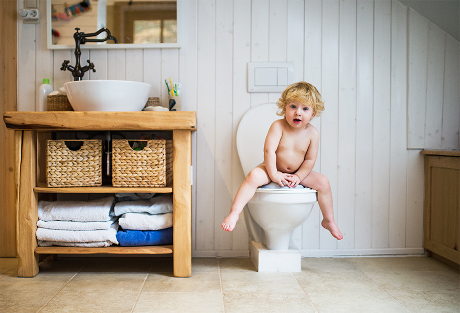 PottytrainingUK's tweet photo. Should I use the toilet or #potty when I start #pottytraining? - Find out the pros and cons and how to decide what's right for you at How to Potty Train https://t.co/NulR6AEQ6z https://t.co/cZGdOsm2Zw