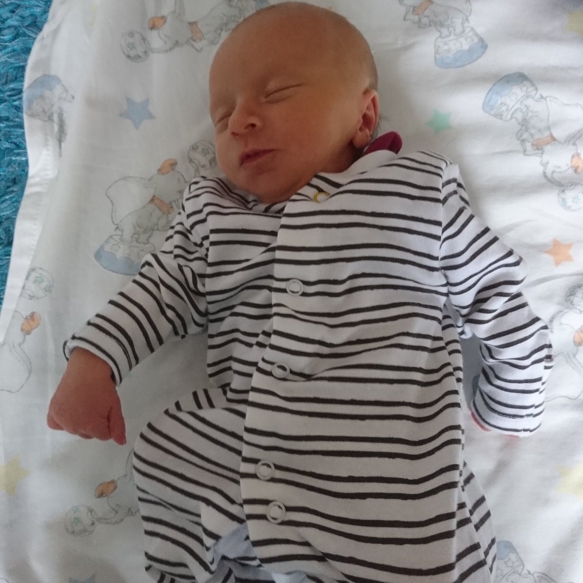 refelee844's tweet image. Not quite regulation attire but it's a good start m8

#RefClub #BabyRefClub