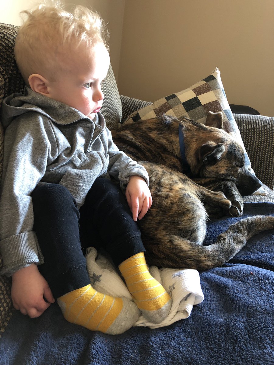BreaaghaMac's tweet photo. Best buddies 💙 https://t.co/lIIqspfVQz