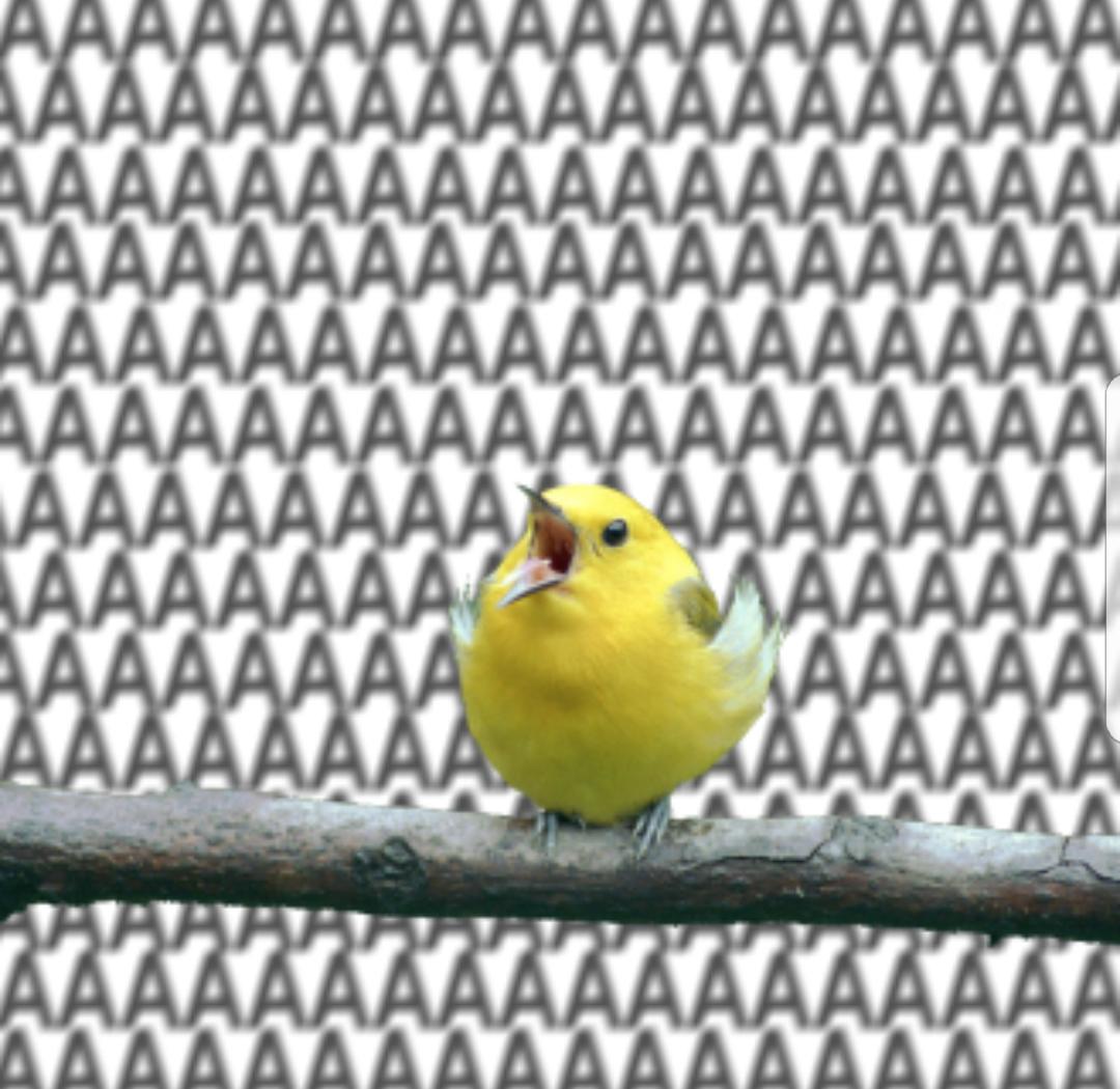renão on Twitter: renão on Twitter: