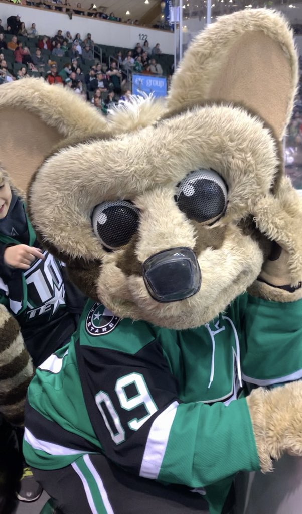 MamaHuff10's tweet photo. @DanceCamDad @TXStarsRingo #MascotMadness #RingoRocks #VOTERINGO https://t.co/FqfiRnC0bP