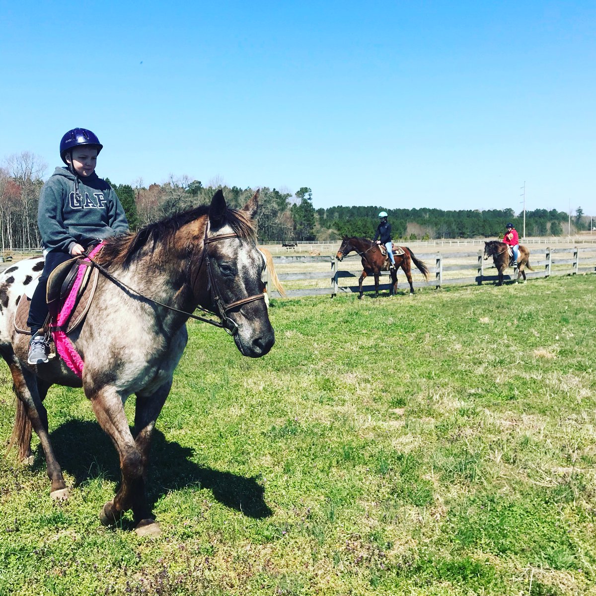 QueenHiveFarm1's tweet photo. Great group of six Richmond spring breakers — including 4-year-old Lily — rode with us today! #queenhivefarm #chincoteague #trailride https://t.co/YS7zageJSw
