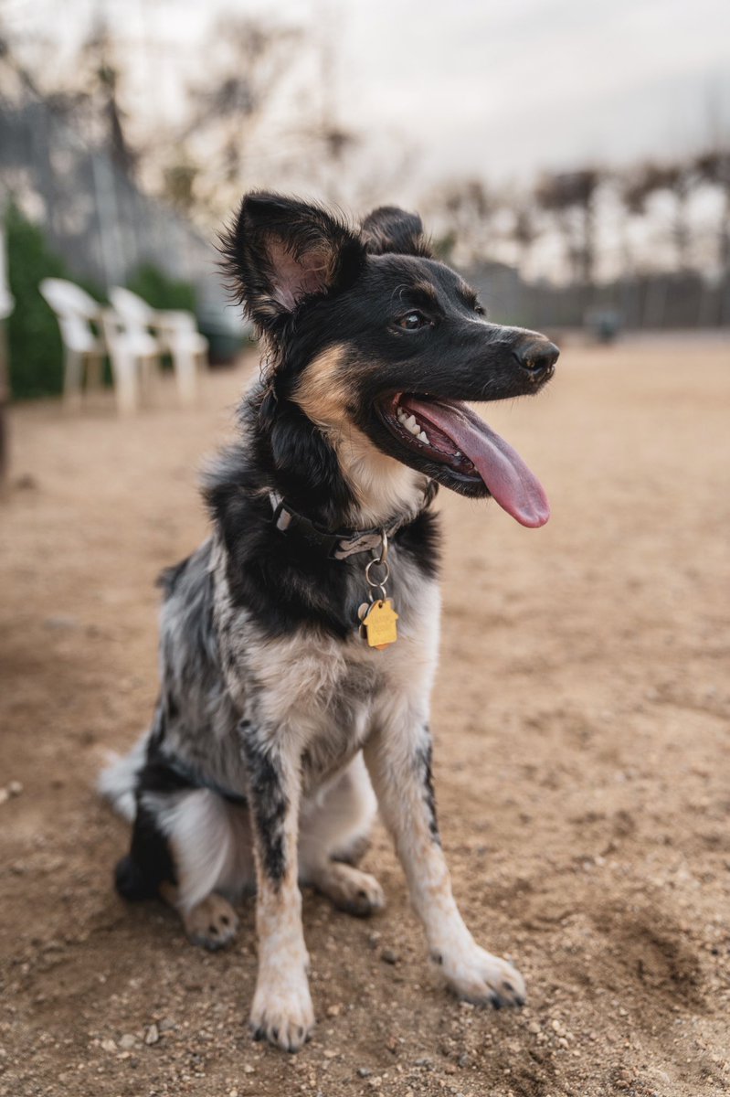 sigma 👁👄👁 on Twitter "IT’S MY BIRTHDAY TOO!! I SHARE A BIRTHDAY WITH A