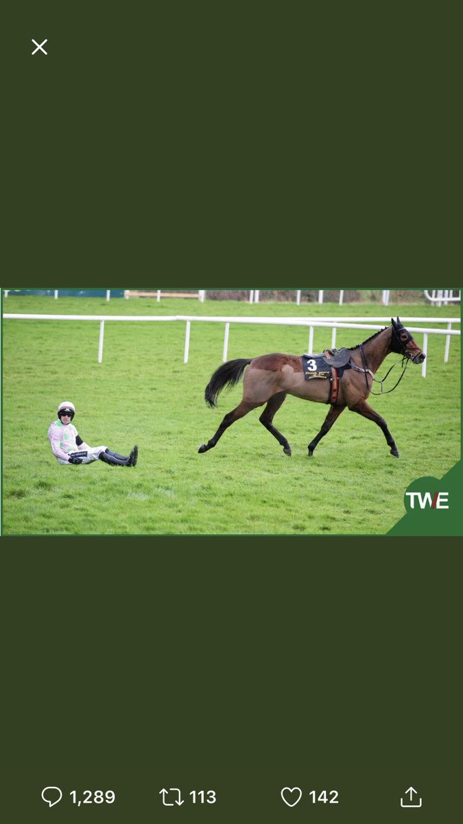 scarlystarks's tweet photo. @HorseTrackerTM @betway actually did it first time 🤪 https://t.co/q4nmc1BSVX