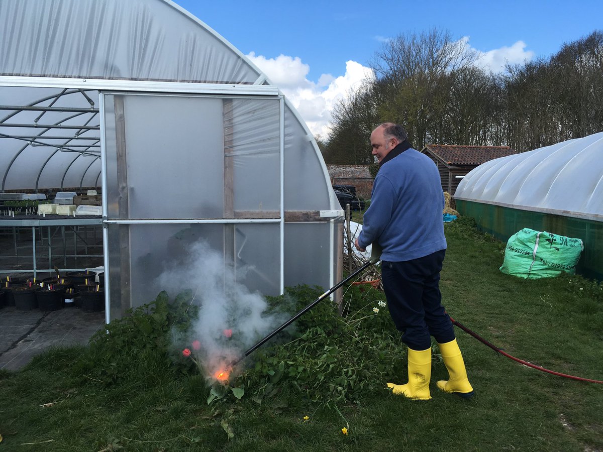 gemma_sturges's tweet photo. Great day training with the @EHAudleyEnd garden team and Stephen @RootWave with our new machine tacking pernicious weeds and unfortunate plants in the wrong place demonstrated by @cjweddell 🥀⚡️ @EnglishHeritage #zapsweedsnochemicals #plantinthewrongplace https://t.co/t5SBQqUTdl