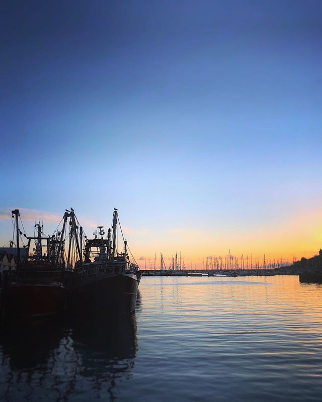 TheGuyForks's tweet photo. Sunrise at @brixham_fish_market this morning for a @crumbsmag trip. A 3am start from Bristol, but the fisherman’s breakfast at @therockfishuk Brixham made it all worth it 🐟 #Invite
.
Thanks to group chef Kirk for the tour 👌🏻
.
#CrumbsSnaps #CrumbsMag… https://t.co/DjWxtrKpKG https://t.co/KGGm7BHE78