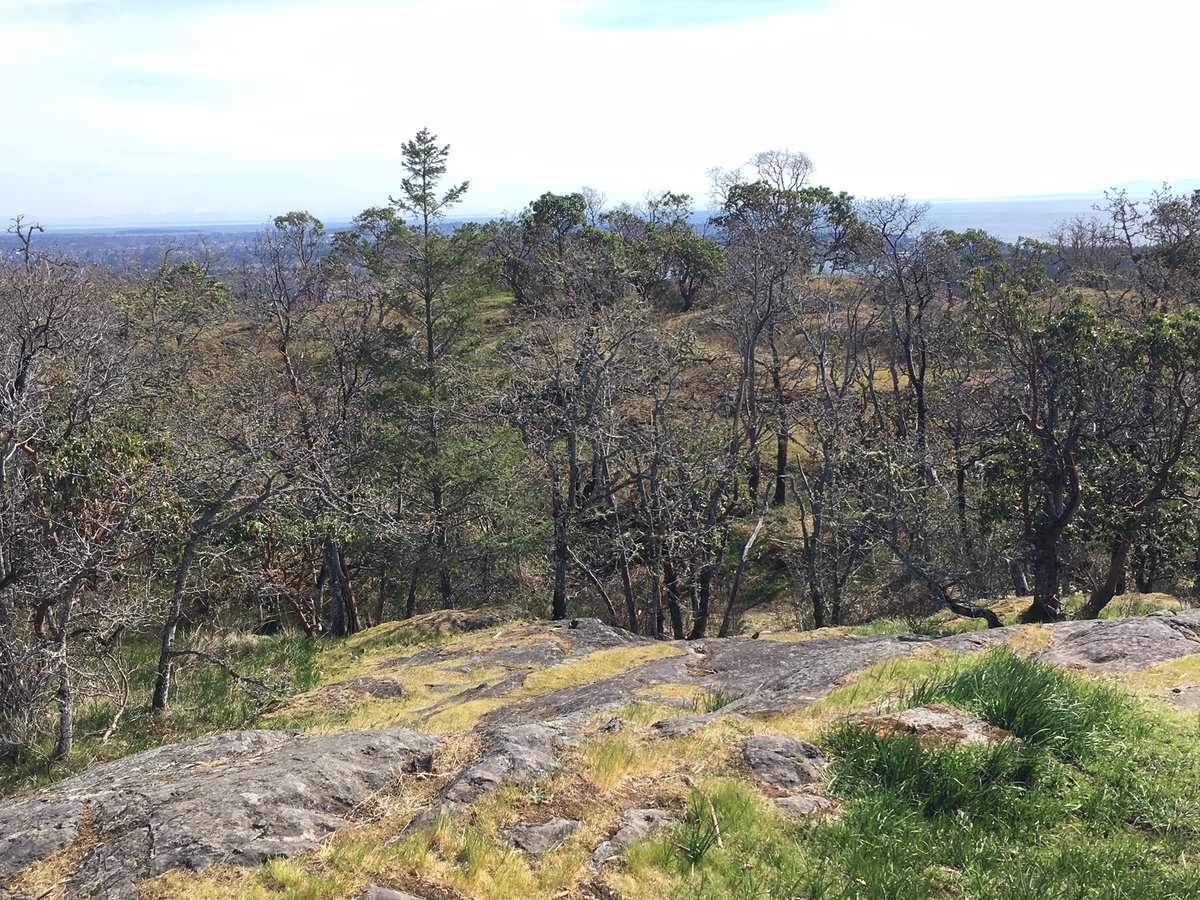 pdculbert_UBC's tweet photo. Great @ubcforestry class field trip yesterday with @SallyNAitken to Garry oak ecosystems at Mill Hill Regional Park and @FortRoddFisgard. #CRDParks #FRST210 #FRST211 https://t.co/8kVA5i4sM4