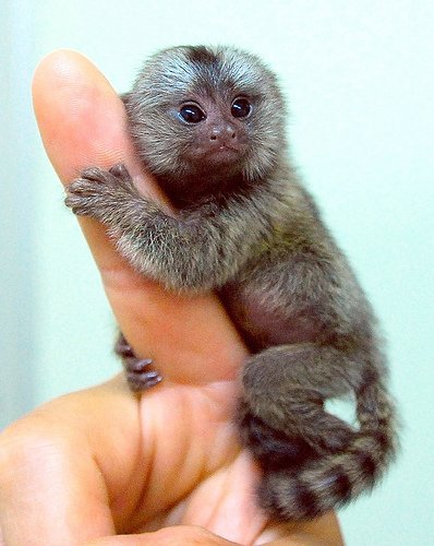 Strangest Creatures You Never Knew Existed - epphany.com/site/post/413?…