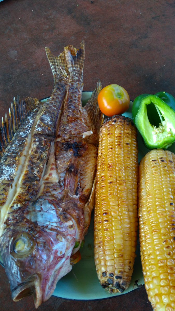 dzimlodge's tweet photo. Come enjoy our fire grilled lake Kariba fish #Kariba #VisitZimbabwe #Zimbabwe #Travel #Africa #vacation #holiday #hotel #BestInTravel2019 #photography https://t.co/T8ewtuZDNC