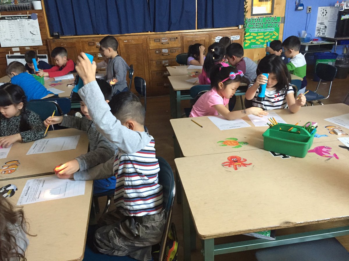 MrsSimmons159's tweet photo. Experimenting with shadow size with 1-124! #159scientists @PS159_Q @MrsZachariadis @Claud421 https://t.co/GIQ55ur05y