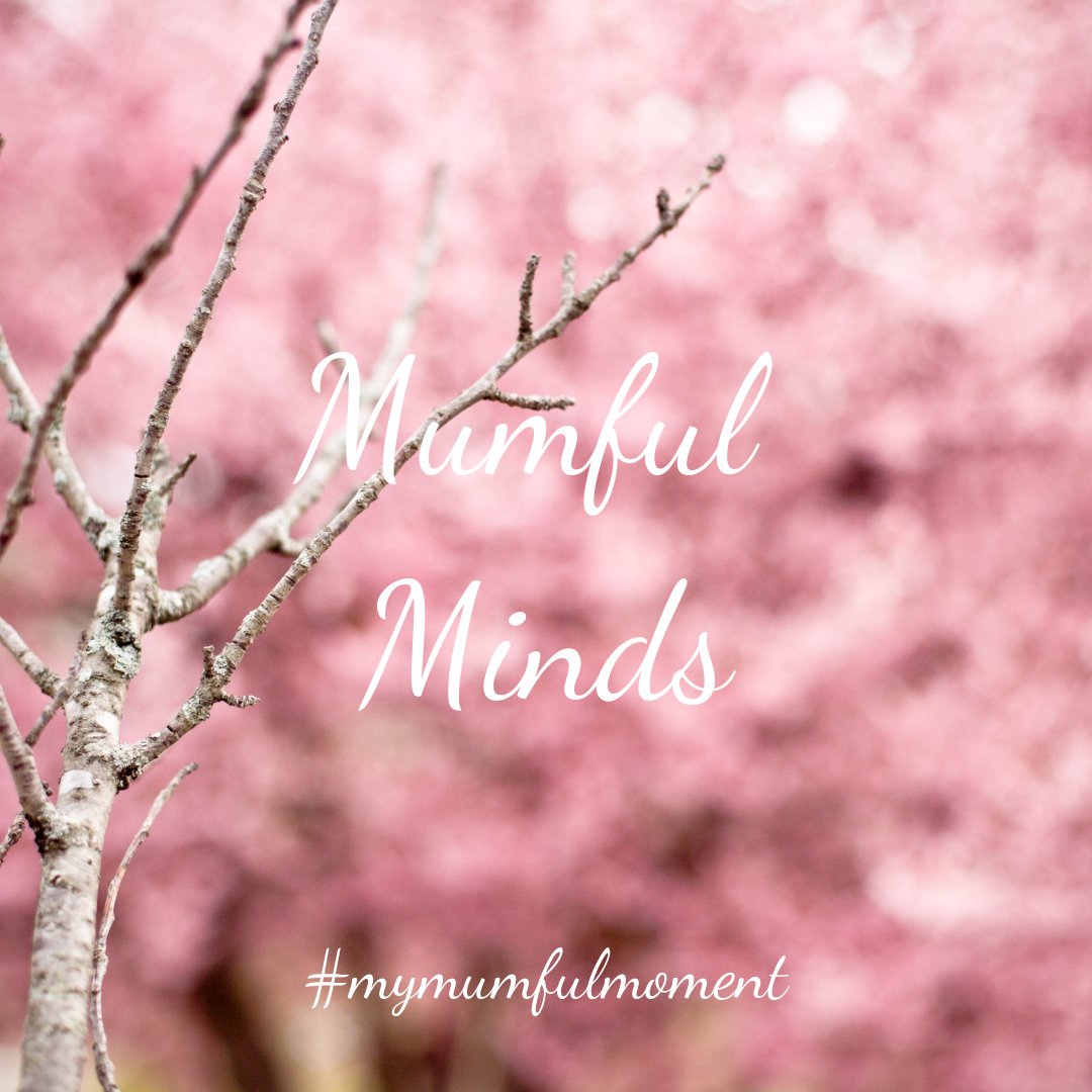 RevellSocial's tweet photo. So while I have been on maternity leave with #2 I have been studying with @DigitalMumsHQ to be a Social media manager. I am so proud of what I've achieved so far💪 @MumfulMinds #digitalmumtobe #freelancer https://t.co/5Ut3vg24FU