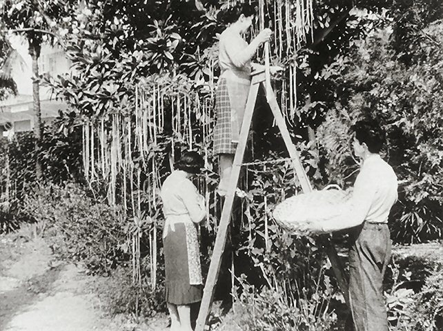 Top Historical Hoaxes - epphany.com/site/post/509?…